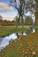 Cjp_2009_10_29_163031 (1)_HDR-D1.jpg